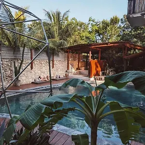  Hotel Botanica México